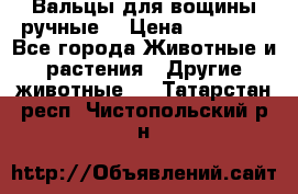Вальцы для вощины ручные  › Цена ­ 10 000 - Все города Животные и растения » Другие животные   . Татарстан респ.,Чистопольский р-н